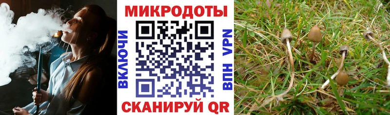 Псилоцибиновые грибы мицелий  mega tor  Армавир 