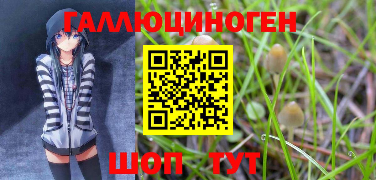 Армавир  Галлюциногенные грибы мицелий  Вход с VPN 