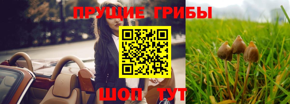 Псилоцибиновые грибы ЛСД Армавир